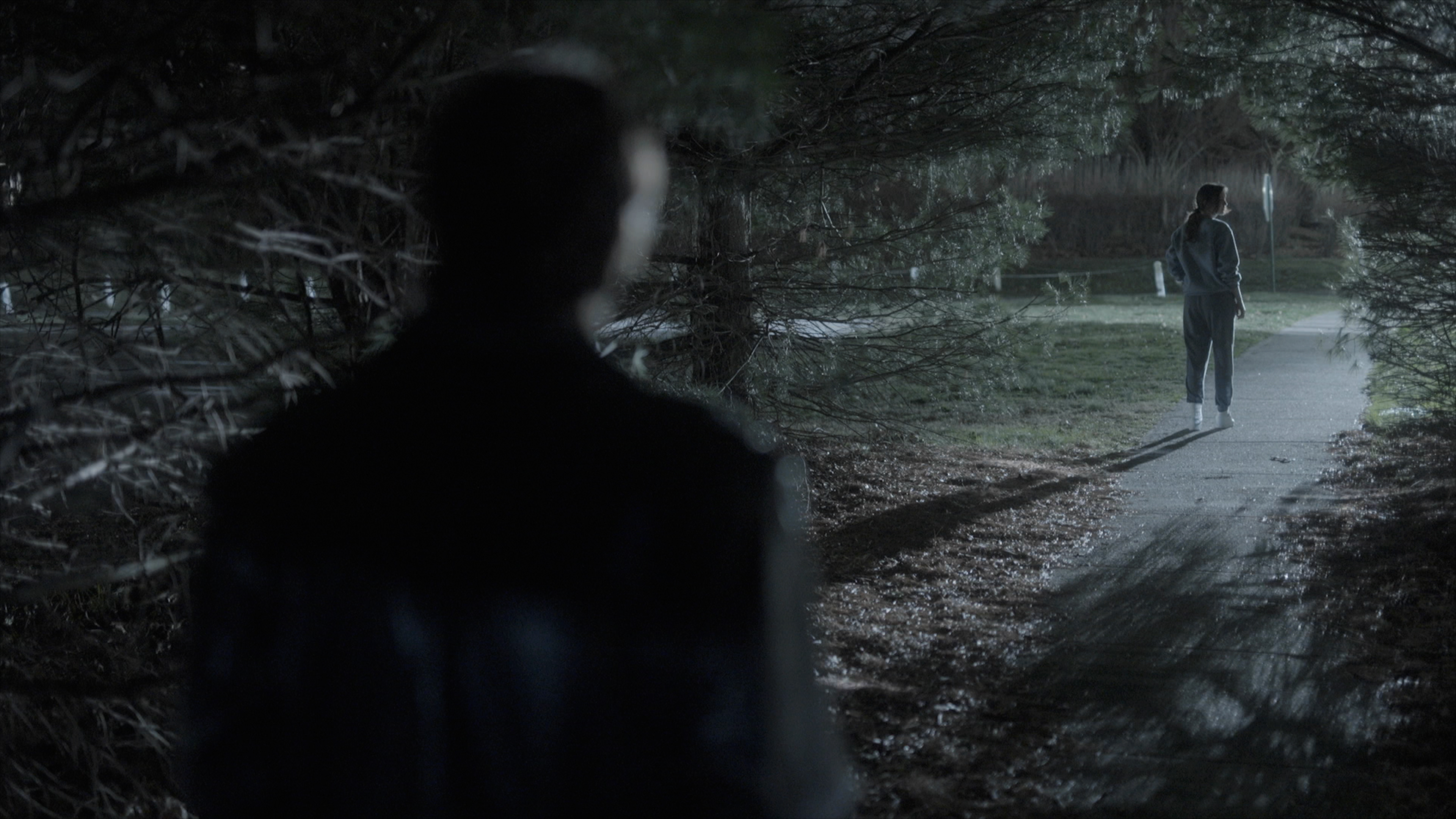 674a2e49aa3b2 Какво да гледаме в Max през декември